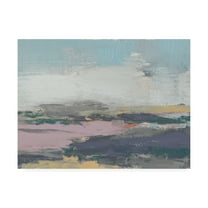 Trademark Fine Art 'Pretty Horizon II' Canvas Art by Jennifer Goldberger