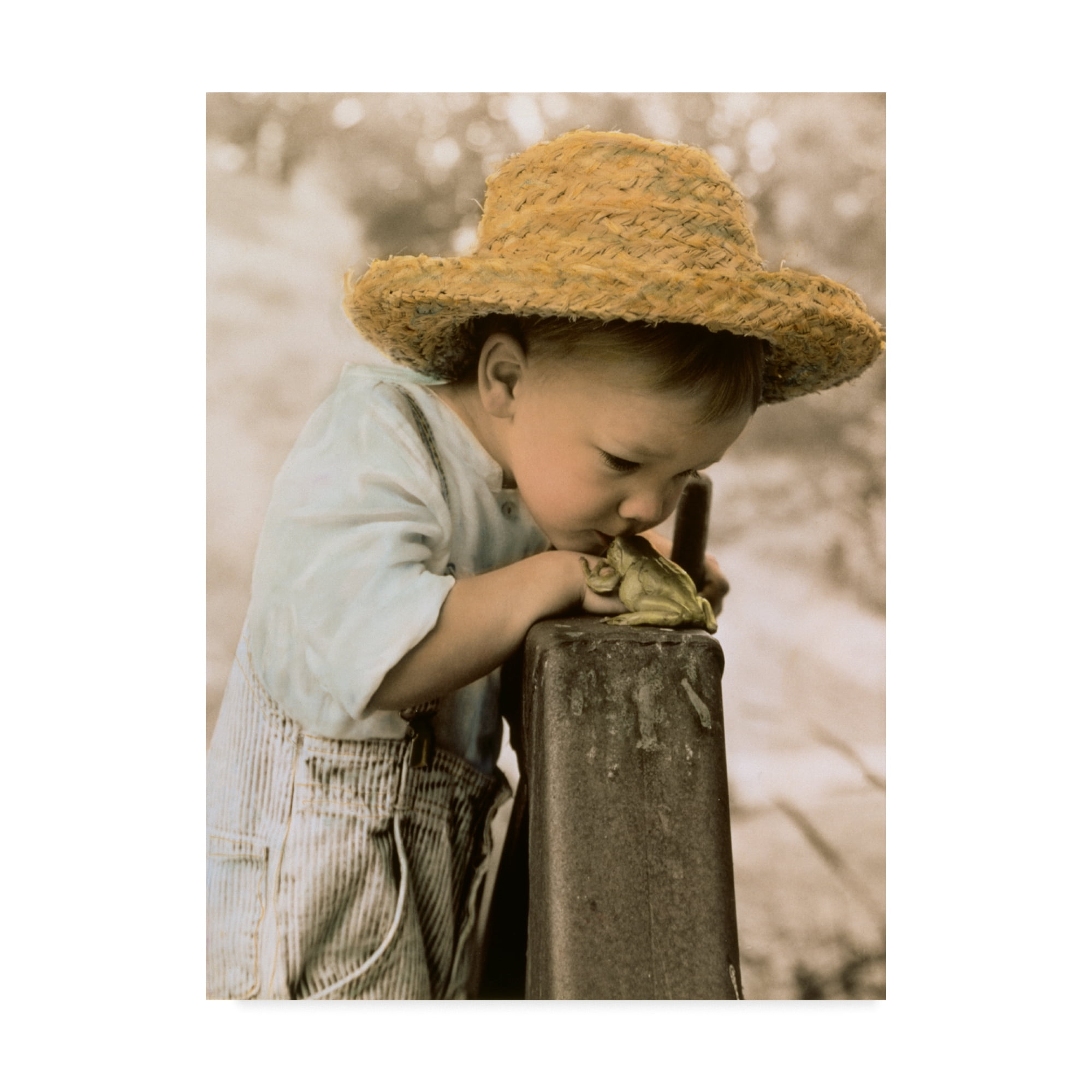 Trademark Fine Art 'Princess Frog' Canvas Art by Sharon Forbes