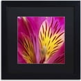 thumbnail image 1 of Trademark Fine Art "Princess Lily Abstract" Canvas Art by Kurt Shaffer, Black Matte, Black Frame, 1 of 4