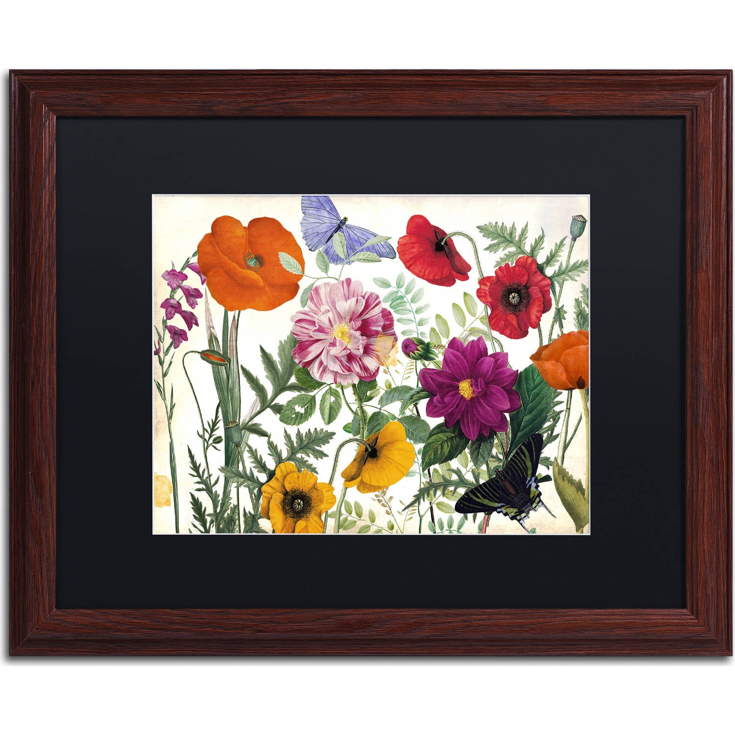 Trademark Fine Art "Printemps I" Canvas Art by Color Bakery, Black Matte, Wood Frame