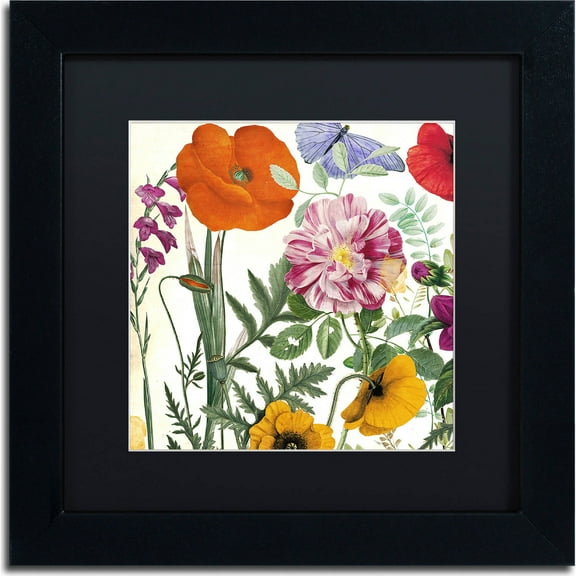 Trademark Fine Art "Printemps II" Canvas Art by Color Bakery, Black Matte, Black Frame