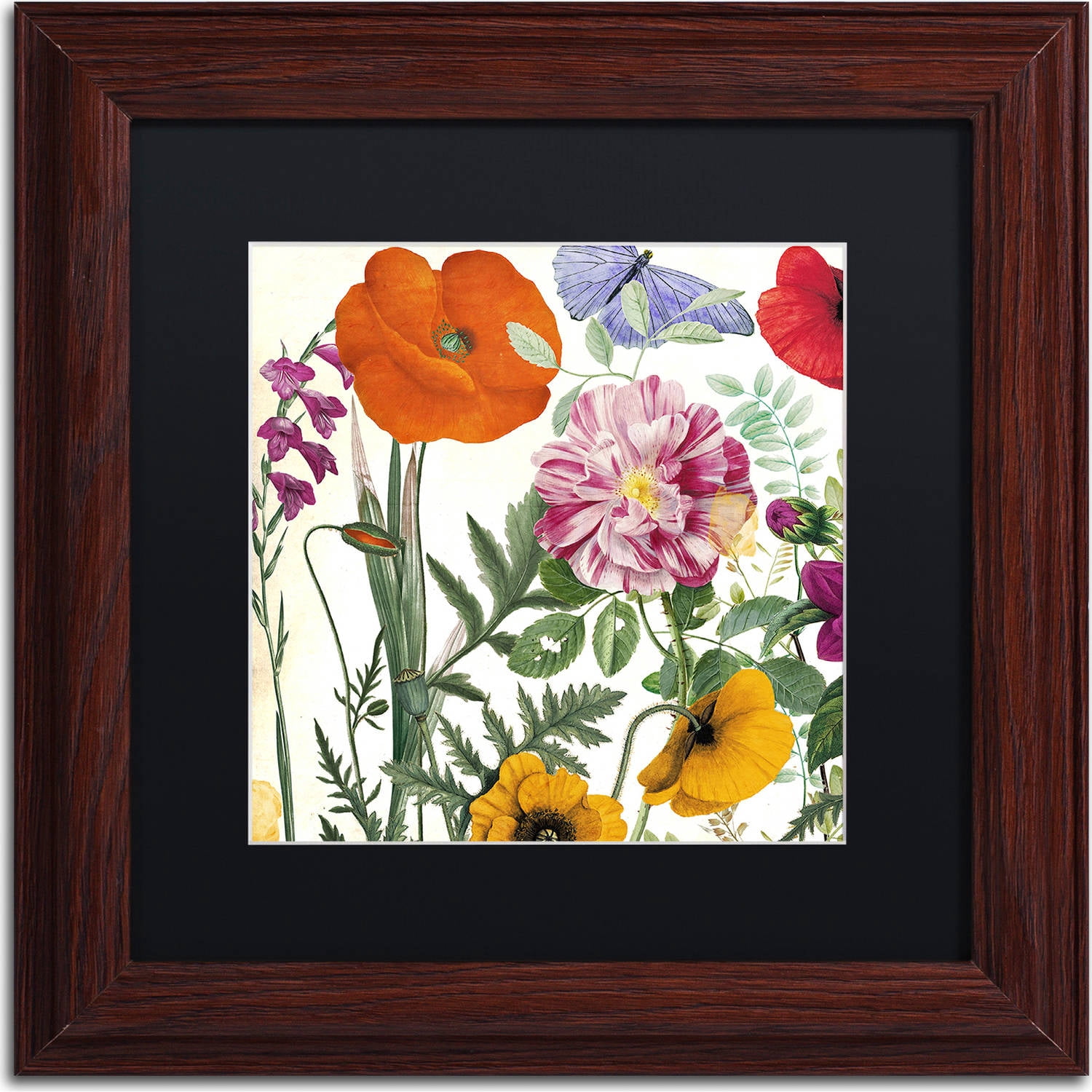 Trademark Fine Art "Printemps II" Canvas Art by Color Bakery, Black Matte, Wood Frame