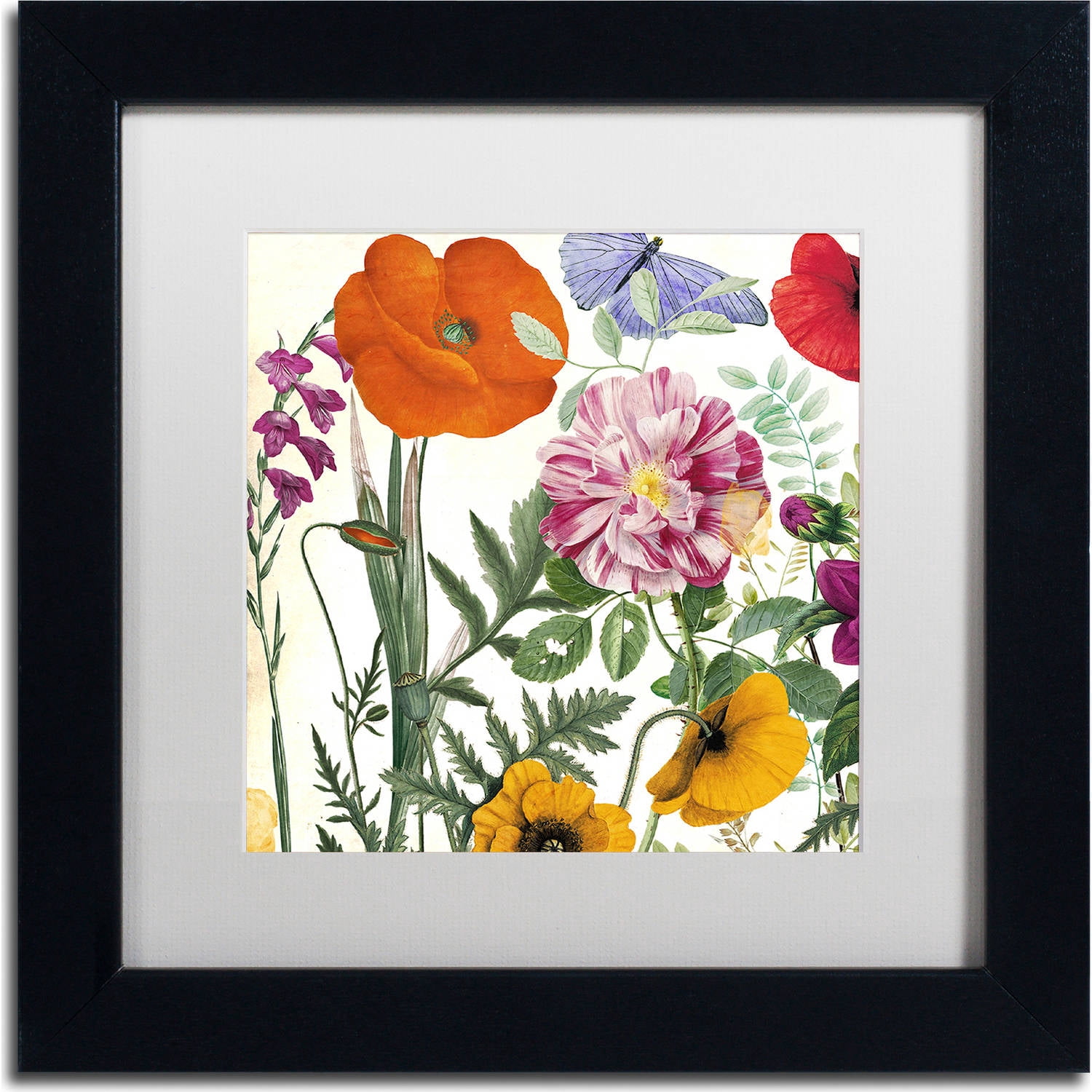 Trademark Fine Art "Printemps II" Canvas Art by Color Bakery, White Matte, Black Frame