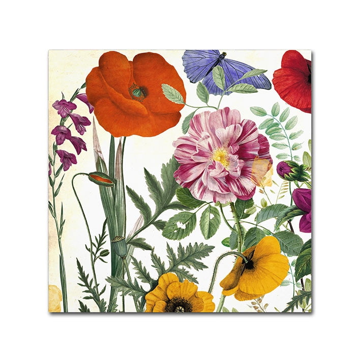 Trademark Fine Art "Printemps II" Canvas Art by Color Bakery