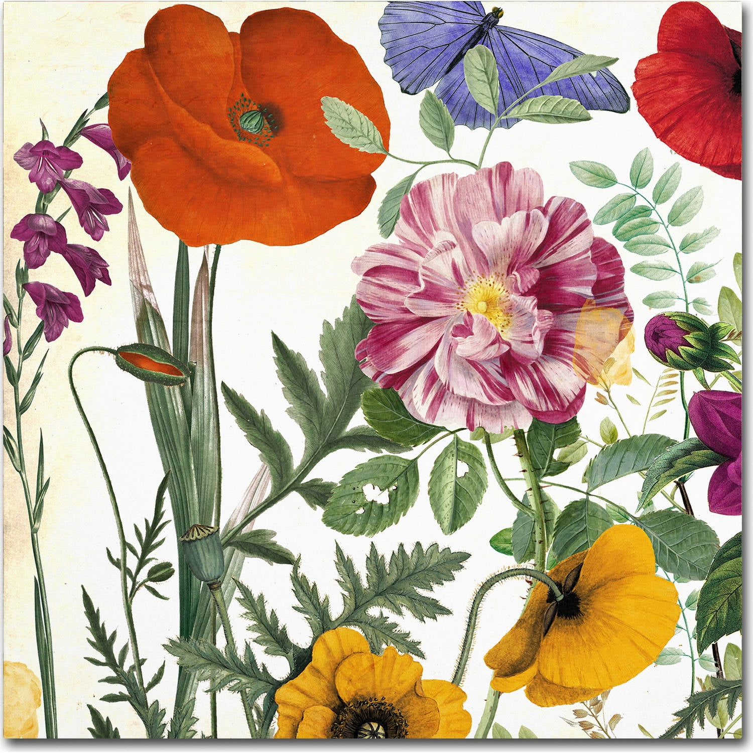 Trademark Fine Art "Printemps II" Canvas Art by Color Bakery