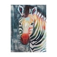 thumbnail image 1 of Trademark Fine Art 'Prism Zebra II' Canvas Art by Grace Popp, 1 of 4