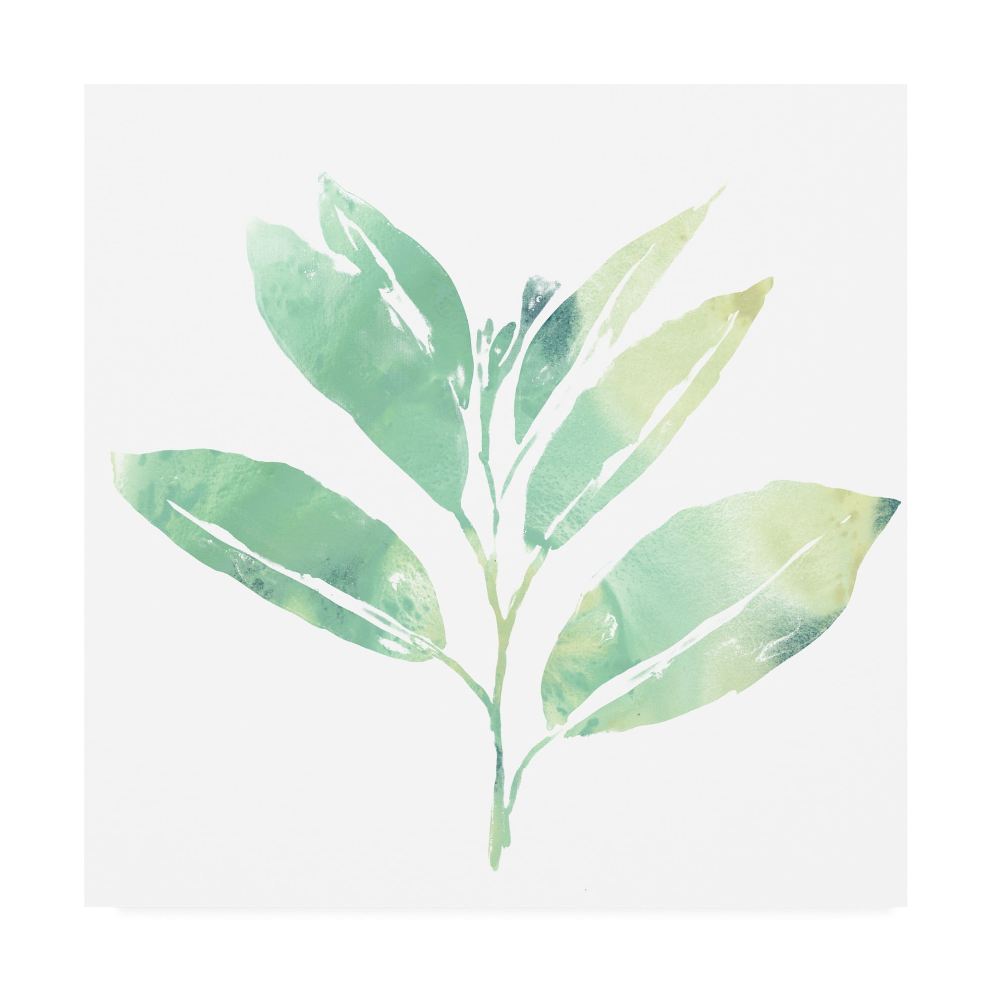 Trademark Fine Art 'Prisma Tropical II' Canvas Art by June Erica Vess