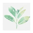 thumbnail image 1 of Trademark Fine Art 'Prisma Tropical II' Canvas Art by June Erica Vess, 1 of 4