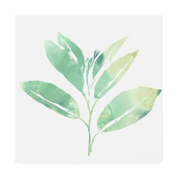 Trademark Fine Art 'Prisma Tropical II' Canvas Art by June Erica Vess