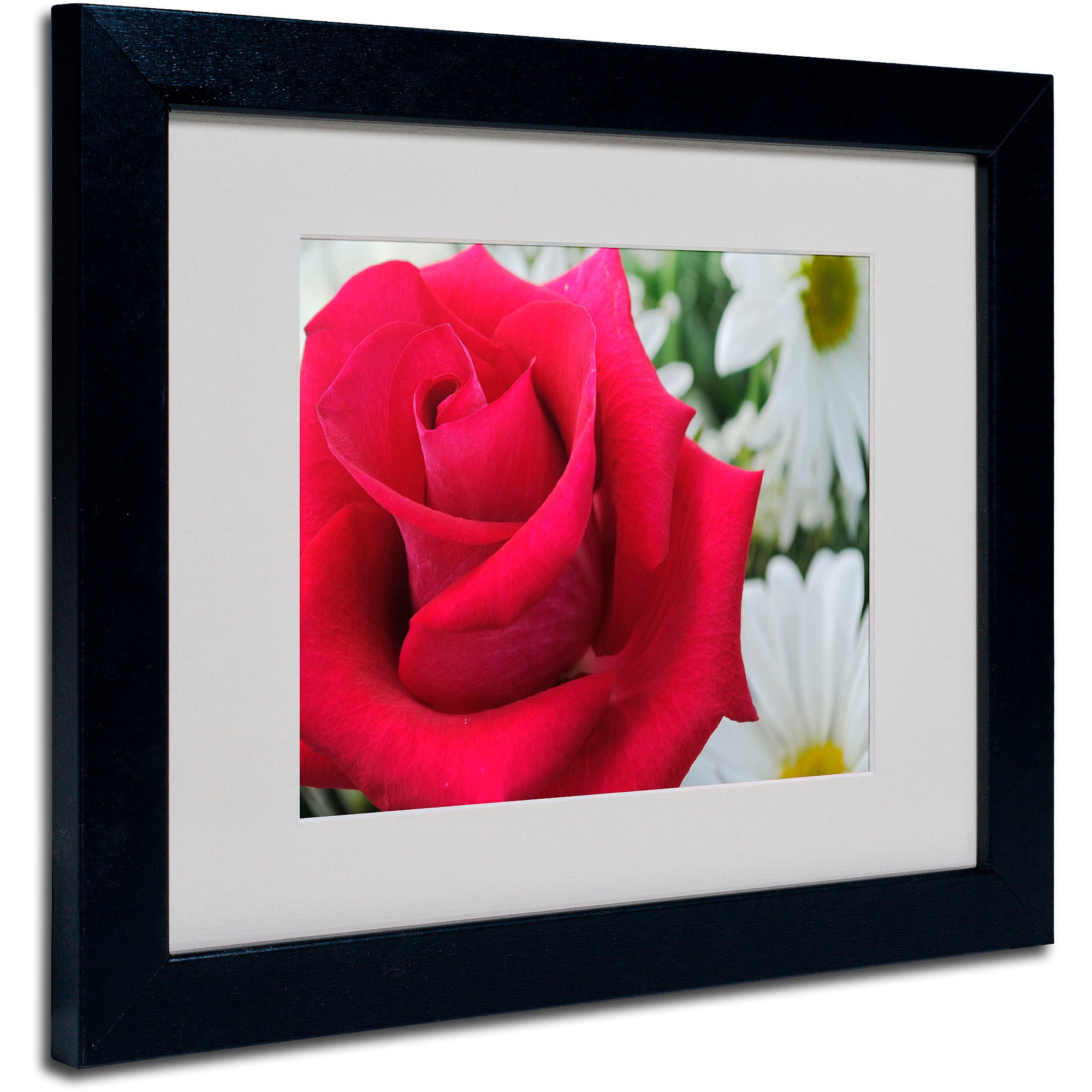 Trademark Fine Art "Pristine" by Monica Fleet, Black Frame