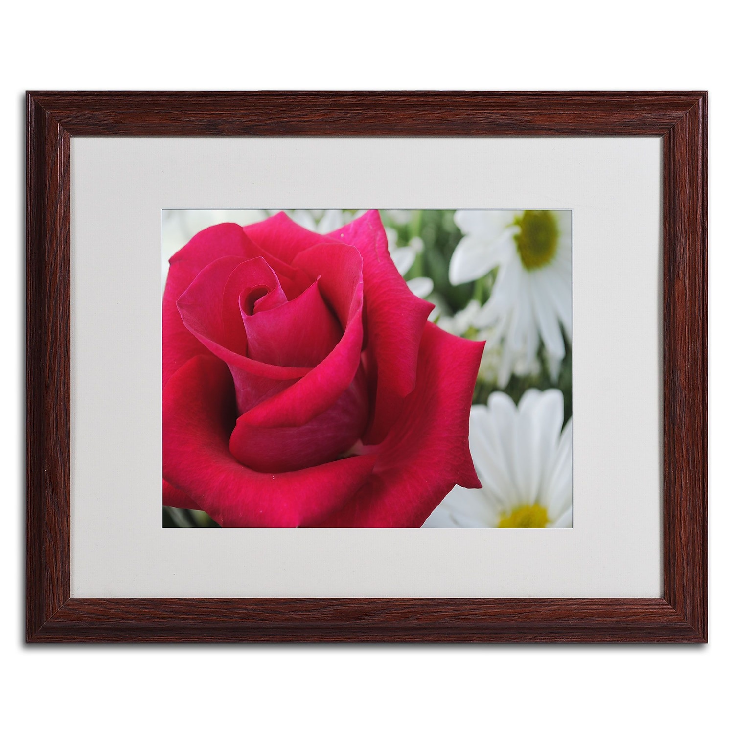 Trademark Fine Art "Pristine" by Monica Fleet, Wood Frame
