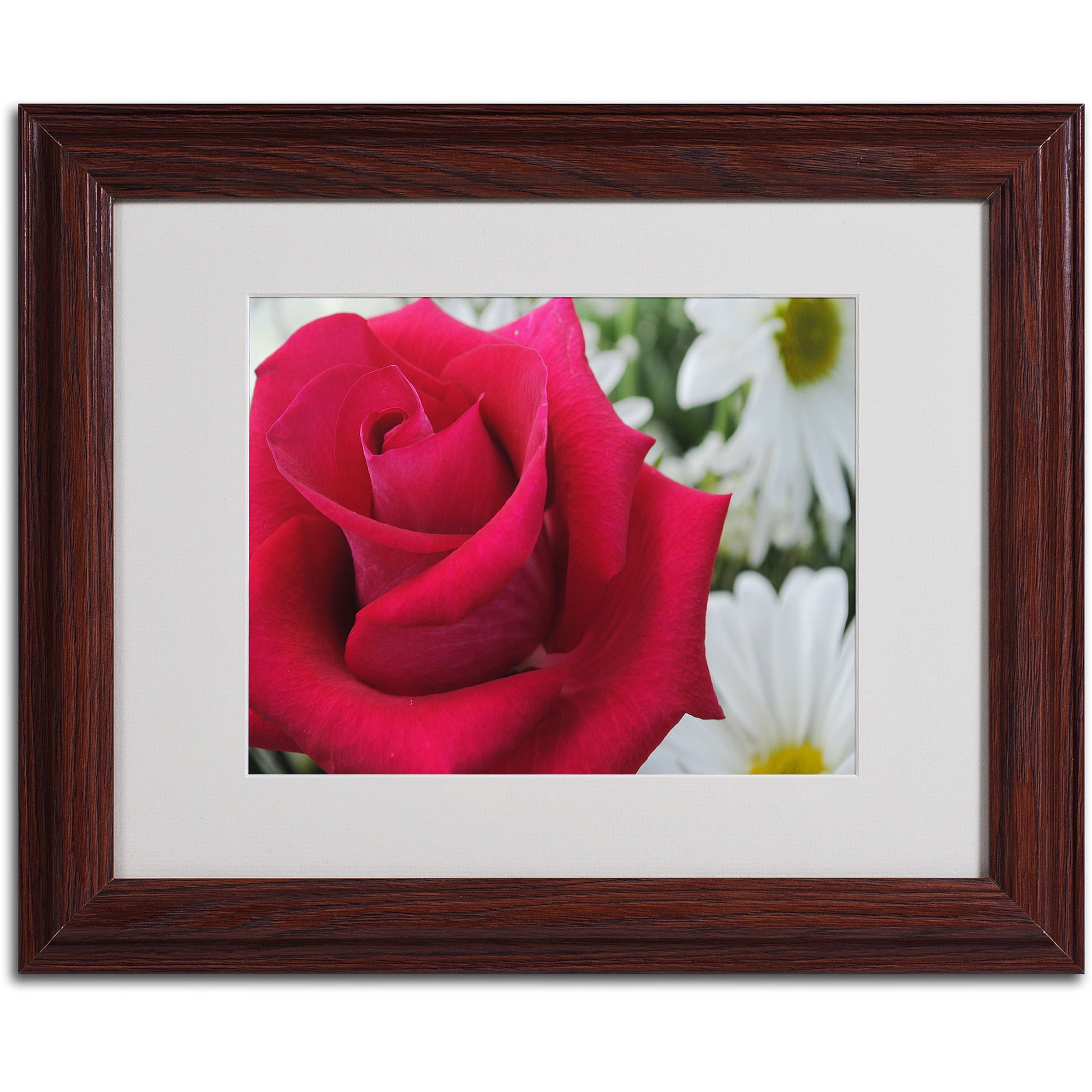 Trademark Fine Art "Pristine" by Monica Fleet, Wood Frame