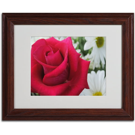 Trademark Fine Art "Pristine" by Monica Fleet, Wood Frame