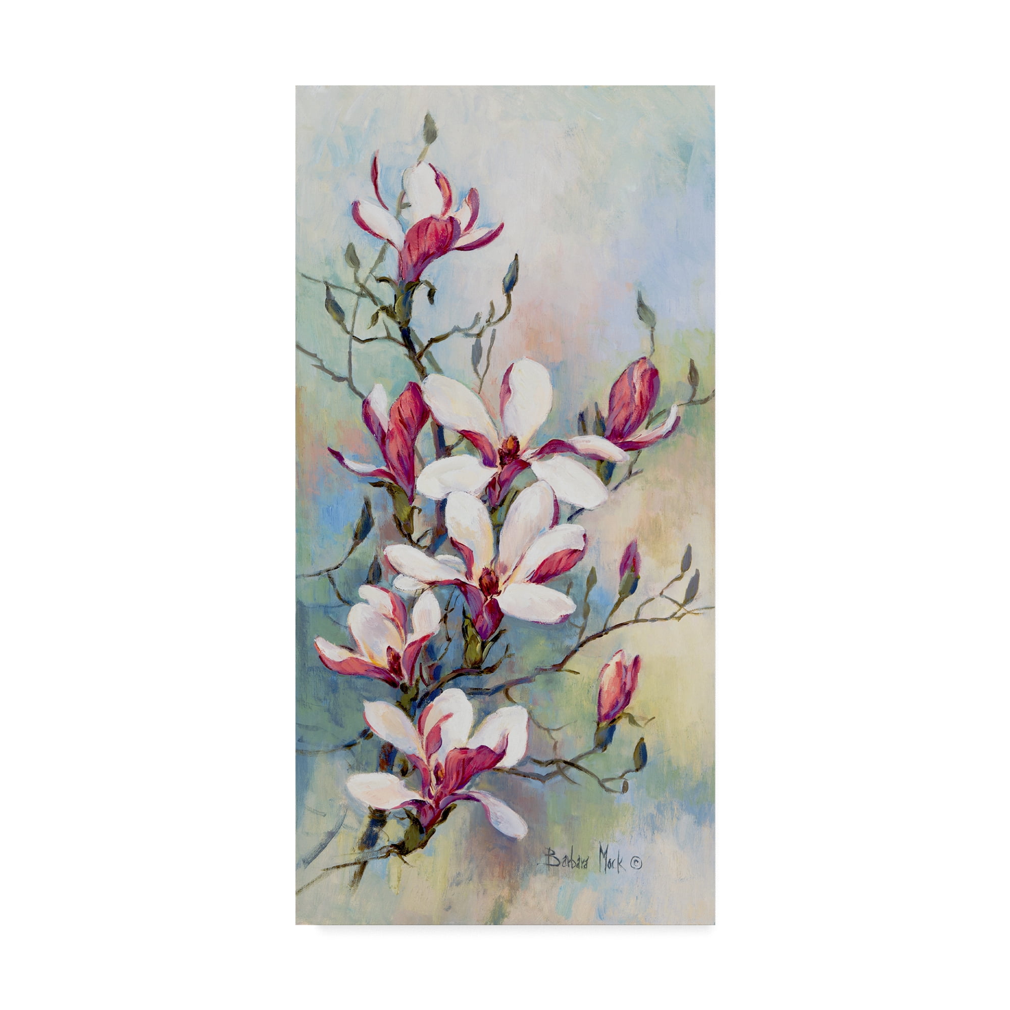 Trademark Fine Art Promise Of Spring 2 Canvas Art By Barbara Mock   Trademark Fine Art Promise Of Spring 2 Canvas Art By Barbara Mock 901c4a5c 31e1 4fe0 89cc E18e314aa435 1.e0ea32262e6109add87abb687bef2544 