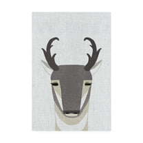Trademark Fine Art 'Pronghorn Antelope' Canvas Art by Annie Bailey Art
