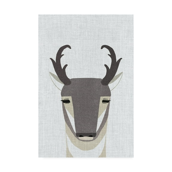 Trademark Fine Art 'Pronghorn Antelope' Canvas Art by Annie Bailey Art
