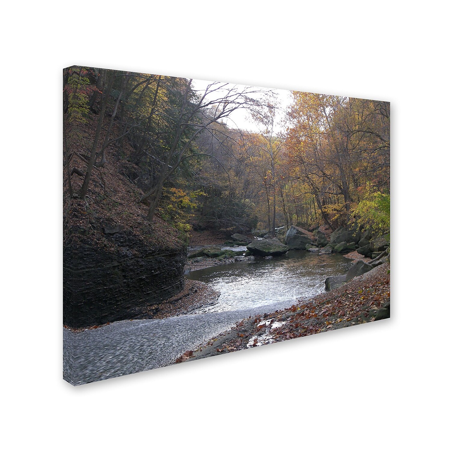 Trademark Fine Art "Prosaic" Canvas Art by Monica Fleet