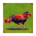 thumbnail image 1 of Trademark Fine Art 'Proud Red II' Canvas Art by Carol Young, 1 of 4