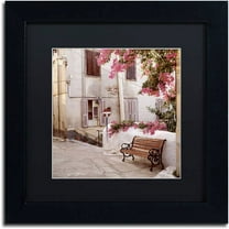 Trademark Fine Art "Provence I" Canvas Art by Alan Blaustein, Black Matte, Black Frame