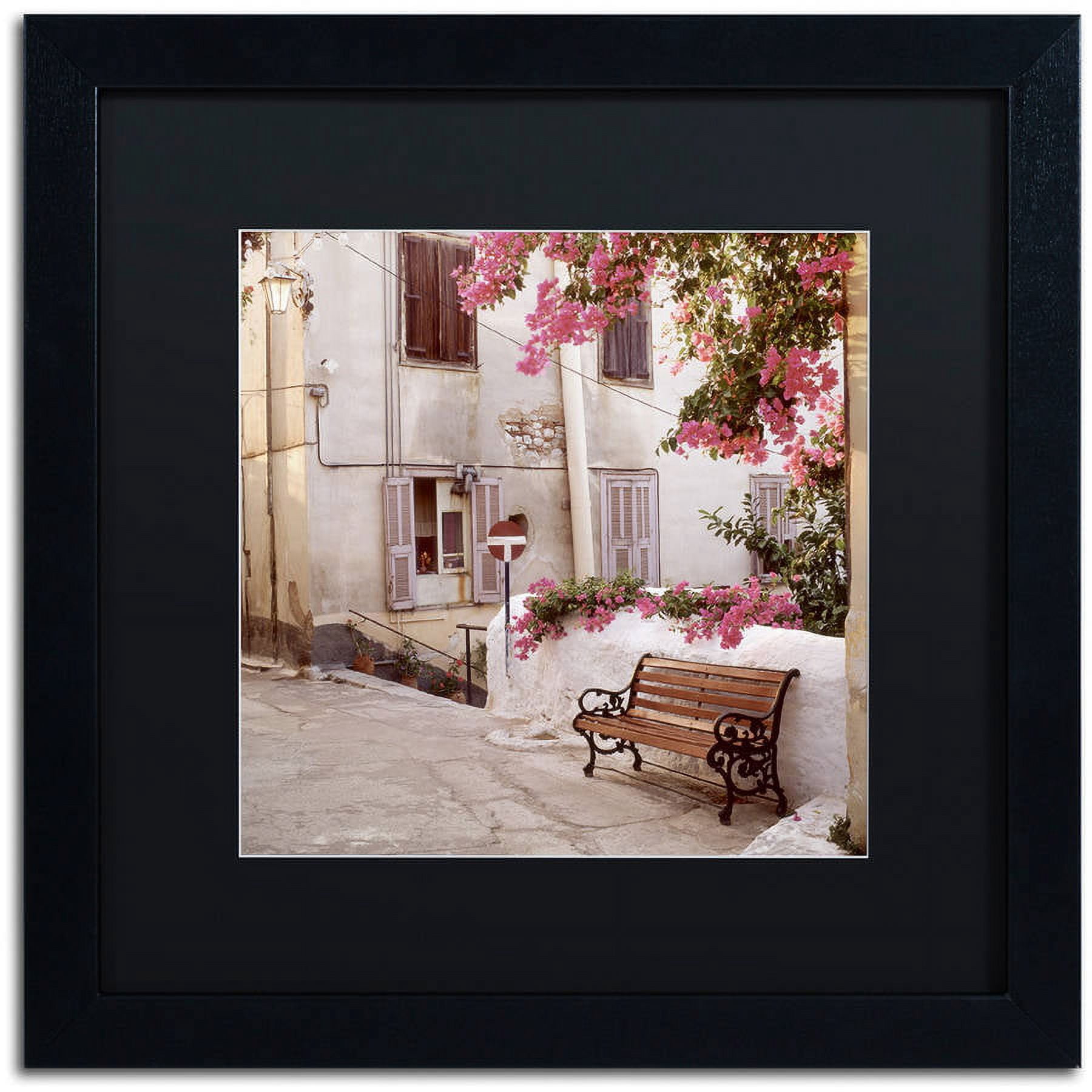 Trademark Fine Art "Provence I" Canvas Art by Alan Blaustein, Black Matte, Black Frame