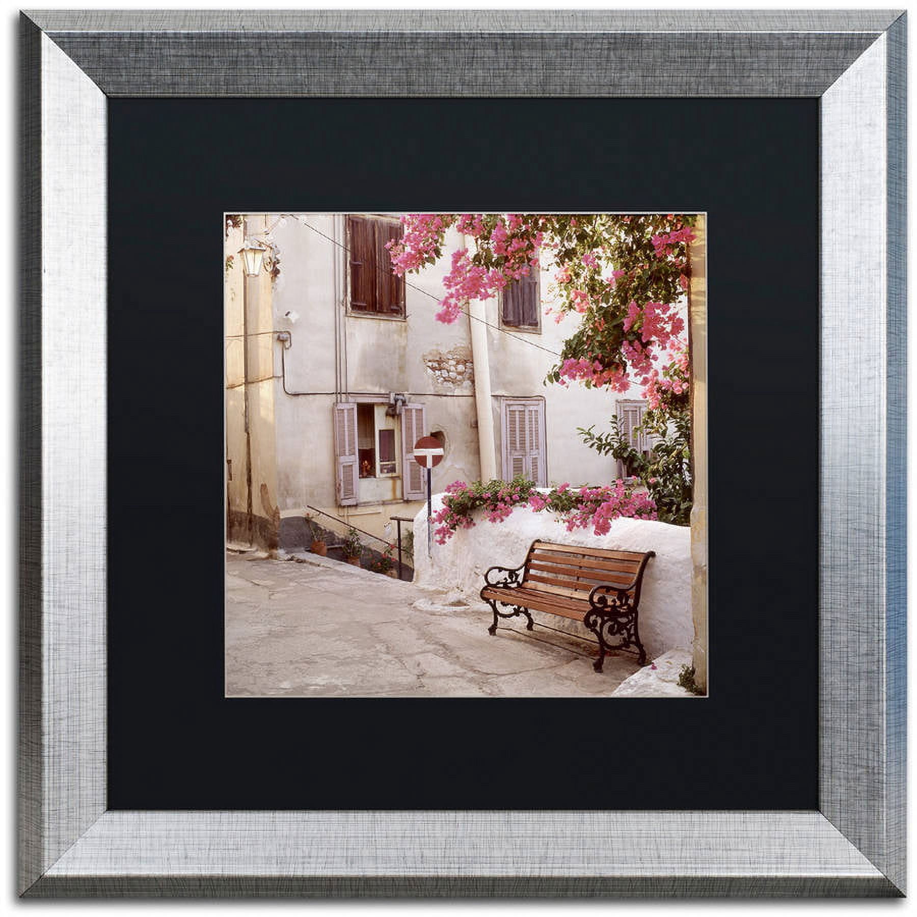 Trademark Fine Art "Provence I" Canvas Art by Alan Blaustein, Black Matte, Silver Frame