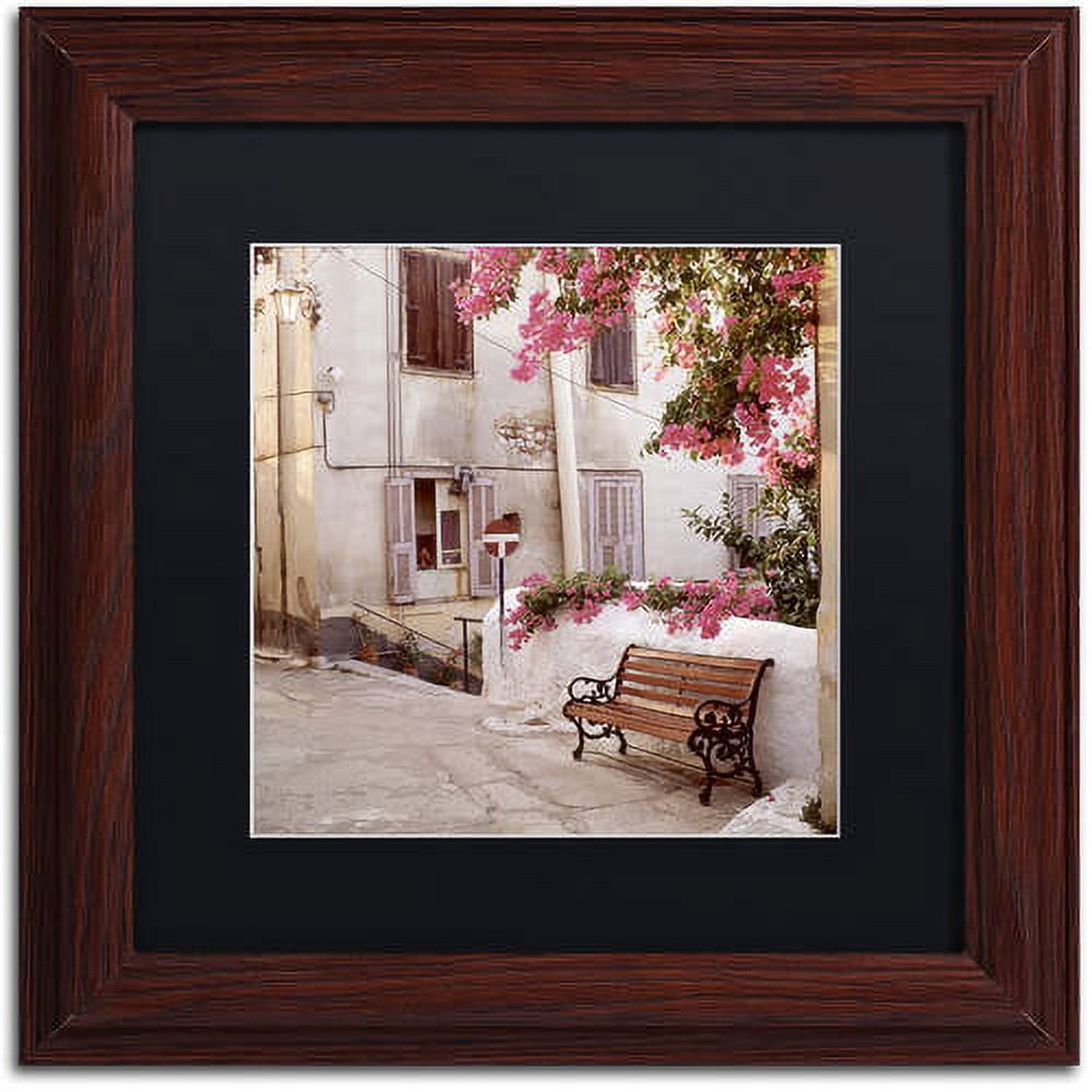 Trademark Fine Art "Provence I" Canvas Art by Alan Blaustein, Black Matte, Wood Frame