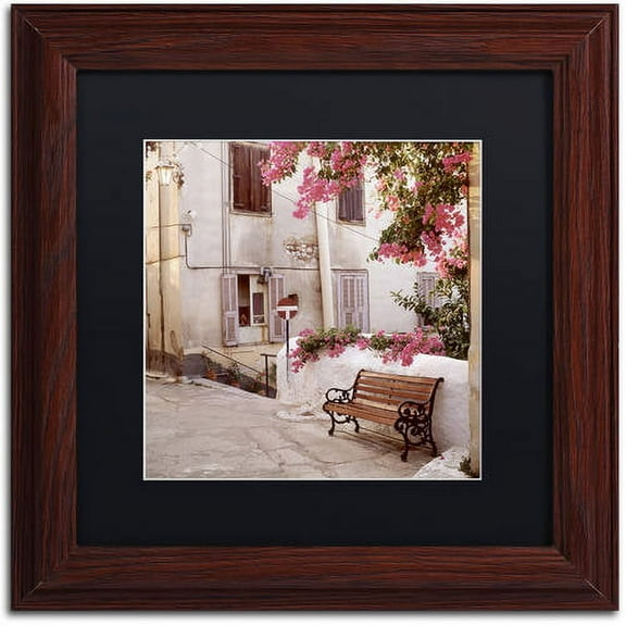 Trademark Fine Art "Provence I" Canvas Art by Alan Blaustein, Black Matte, Wood Frame