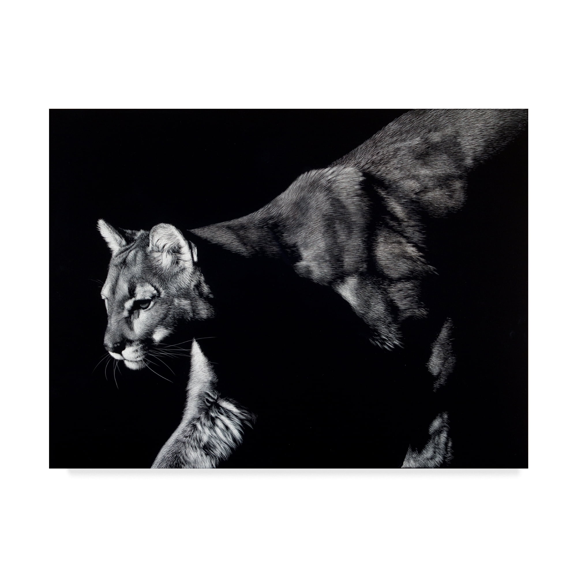 Trademark Fine Art 'Prowler Lion' Canvas Art by Julie T. Chapman