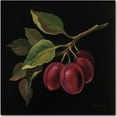 thumbnail image 1 of Trademark Fine Art "Prune No Words" Canvas Art by Silvia Vassileva, 1 of 3