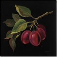 thumbnail image 1 of Trademark Fine Art "Prune No Words" Canvas Art by Silvia Vassileva, 1 of 3