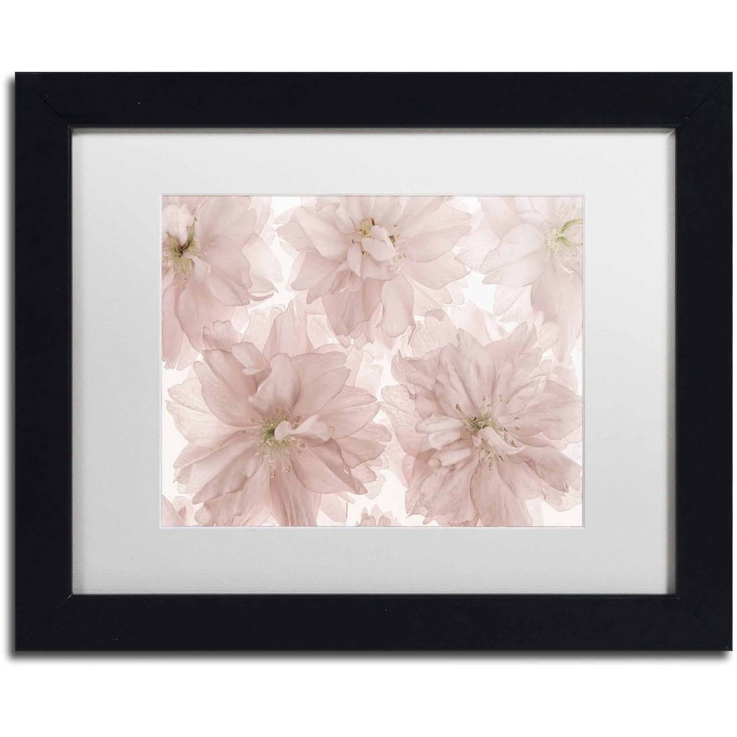 Trademark Fine Art 'Prunus Blossom' Canvas Art by Cora Niele, White Matte, Black Frame