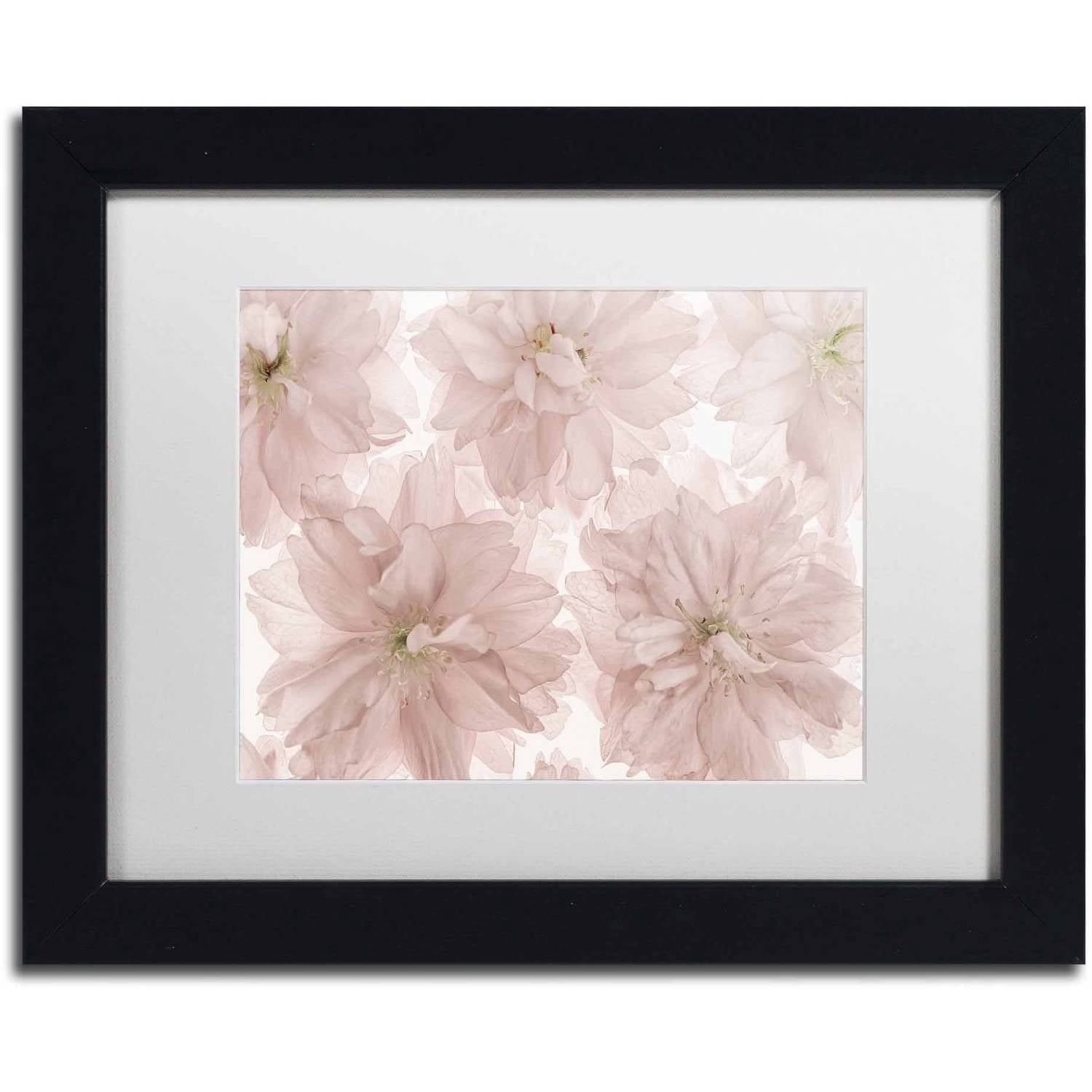 Trademark Fine Art 'Prunus Blossom' Canvas Art by Cora Niele, White Matte, Black Frame