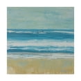 thumbnail image 1 of Trademark Fine Art 'Puddle Beach' Canvas Art by Dlynn Roll, 1 of 4