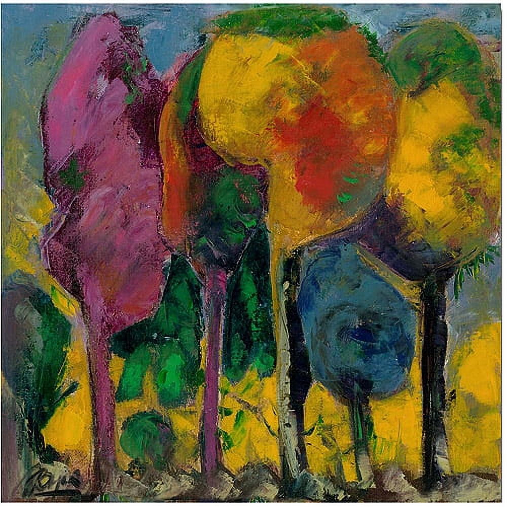 Trademark Fine Art "Puesta de sol" Canvas Art by Boyer
