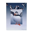 thumbnail image 1 of Trademark Fine Art 'Puffins' Canvas Art by Harro Maass, 1 of 3