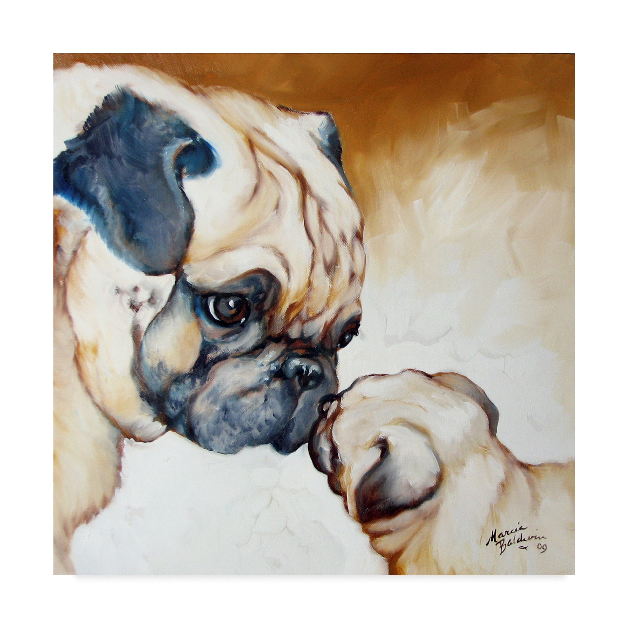 Trademark Fine Art 'Pug 2' Canvas Art by Marcia Baldwin