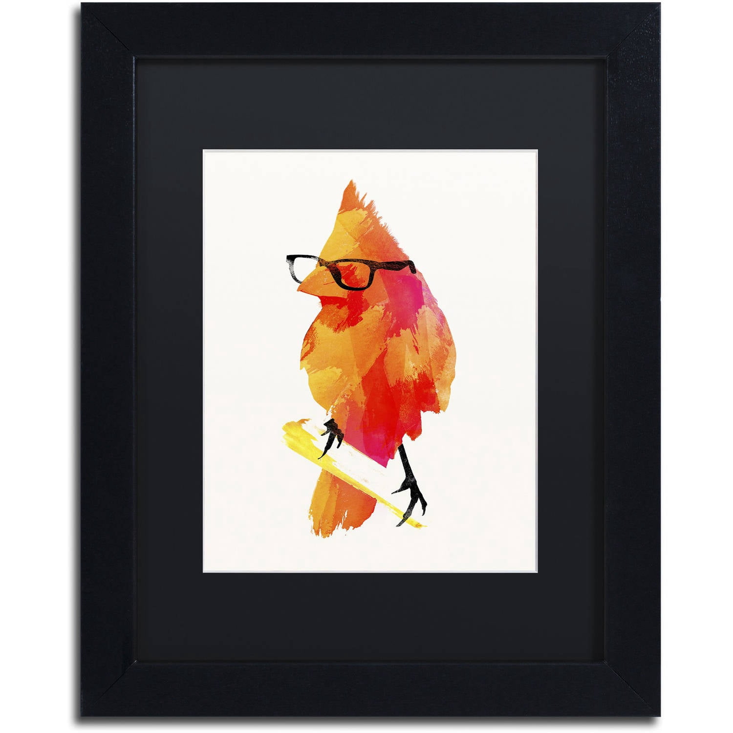 Trademark Fine Art 'Punk Birdy' Canvas Art by Robert Farkas, Black Matte, Black Frame