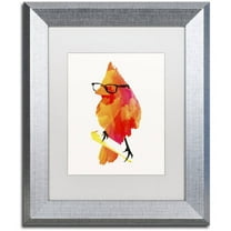 Trademark Fine Art 'Punk Birdy' Canvas Art by Robert Farkas, White Matte, Silver Frame