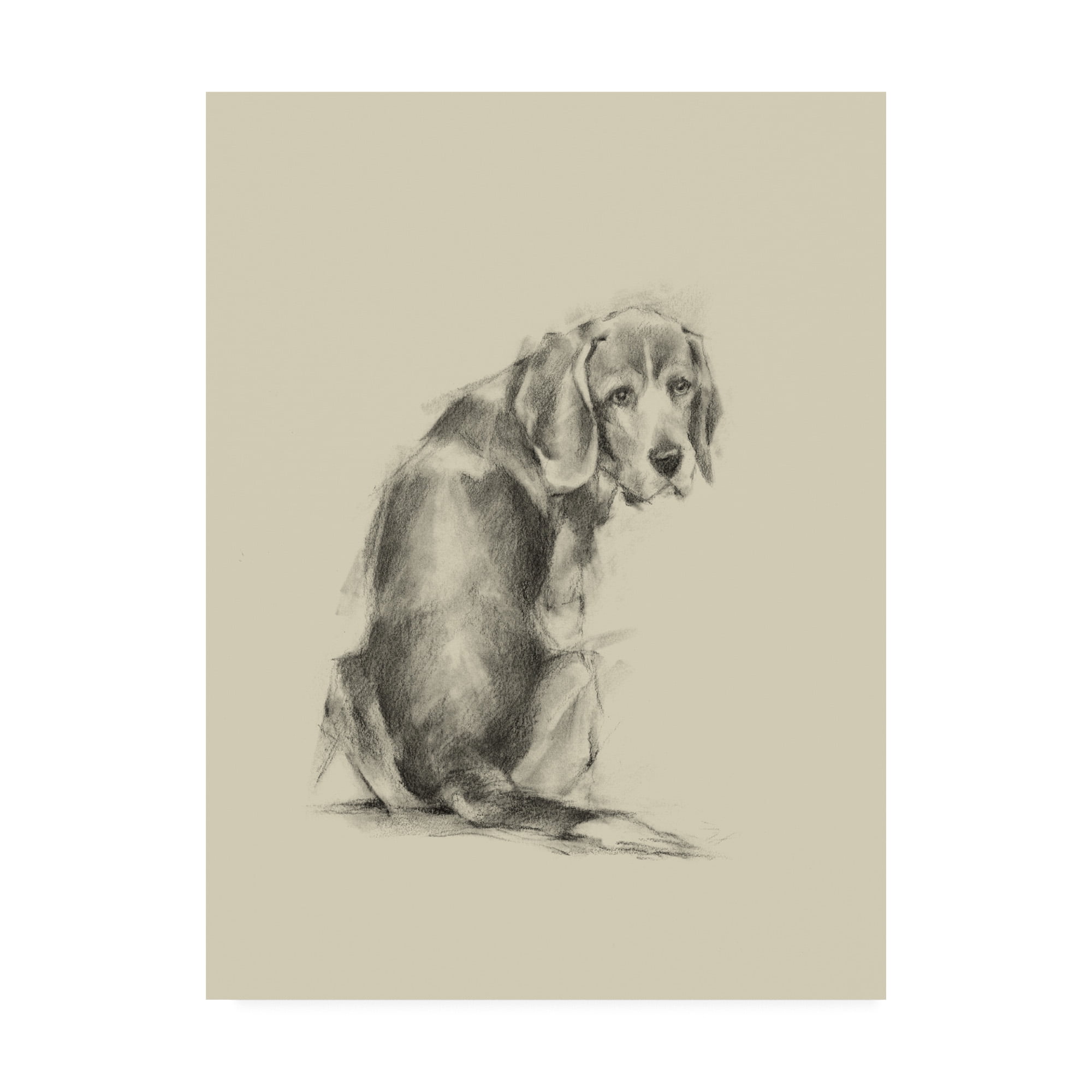 Trademark Fine Art 'Puppy Dog Eyes I' Canvas Art by Ethan Harper