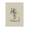 thumbnail image 1 of Trademark Fine Art 'Puppy Dog Eyes II' Canvas Art by Ethan Harper, 1 of 3