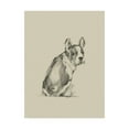 thumbnail image 1 of Trademark Fine Art 'Puppy Dog Eyes IV' Canvas Art by Ethan Harper, 1 of 3