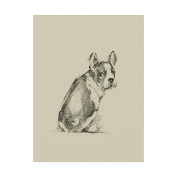 Trademark Fine Art 'Puppy Dog Eyes IV' Canvas Art by Ethan Harper