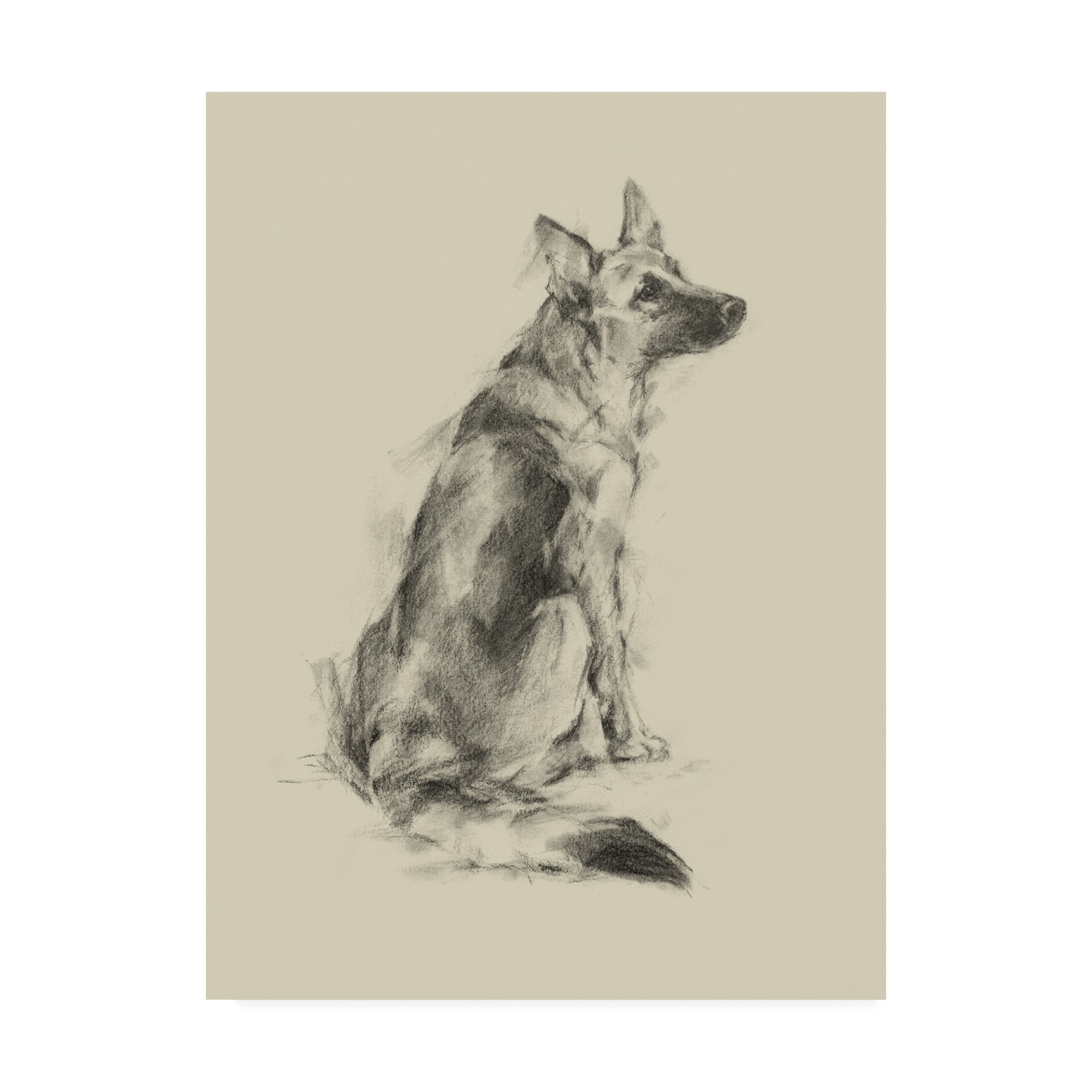 Trademark Fine Art 'Puppy Dog Eyes V' Canvas Art by Ethan Harper