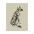 thumbnail image 1 of Trademark Fine Art 'Puppy Dog Eyes V' Canvas Art by Ethan Harper, 1 of 3