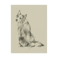 thumbnail image 1 of Trademark Fine Art 'Puppy Dog Eyes VI' Canvas Art by Ethan Harper, 1 of 3