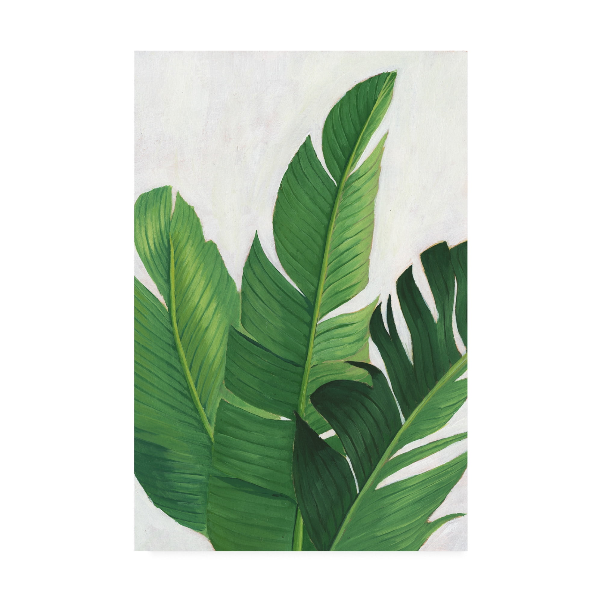 Trademark Fine Art 'Pura Vida II' Canvas Art by Grace Popp