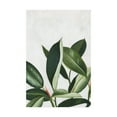 thumbnail image 1 of Trademark Fine Art 'Pura Vida IV' Canvas Art by Grace Popp, 1 of 4