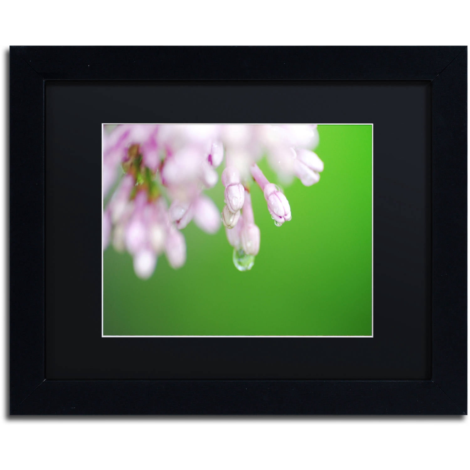 Trademark Fine Art "Pure" Canvas Art by Monica Mize, Black Matte, Black Frame