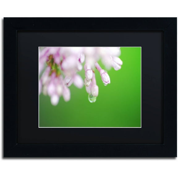 Trademark Fine Art "Pure" Canvas Art by Monica Mize, Black Matte, Black Frame