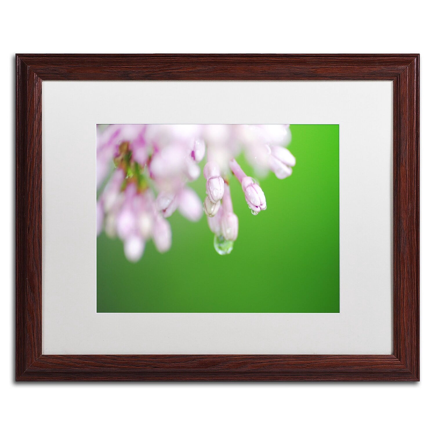 Trademark Fine Art "Pure" Canvas Art by Monica Mize, White Matte, Wood Frame